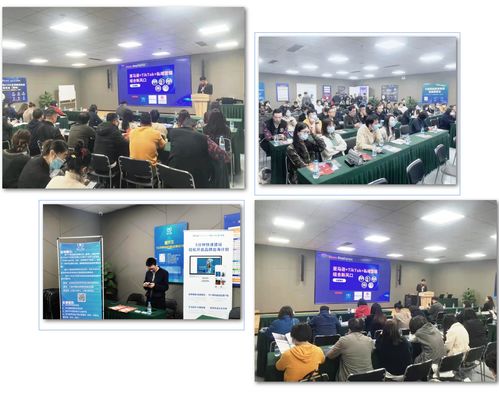 亚马逊交流活动日记 文化艺术交融的盛会